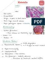 Klebsiella