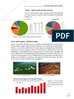 Case Study - Deforestation in Amazon