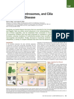 Centrioles, Centrosomes, and Cilia