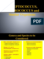 Streptococcus and Enterococcus