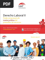 Proceso Laboral (III)