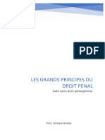 Les Grands Principes de Droit Pénal