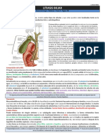 Litiasis Biliar