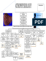 Precipitating Factors: Alcoholism Diet ( FAT) Hypertension Predisposing Factors