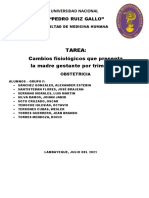 Cambios Fisiológicos Que Presenta La Madre Gestante Por Trimestres