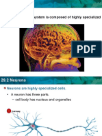 Biology 12 Chapter 29.2