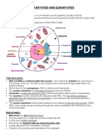 Prokaryotes and Eukaryotes