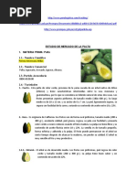 Estudio de Mercado de La Palta