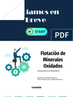 Flotacion de Oxidos