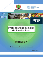 Profil Sanitaire Complet Du Burkina Faso 4