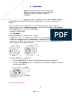 Les Protozooses 2A Bio 2018