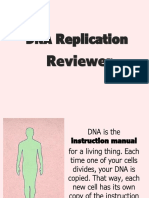 DNA Replication Reviewer