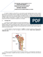 Análisis Biológicos Sistema Urinario