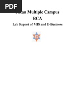 Patan Multiple Campus BCA: Lab Report of MIS and E-Business