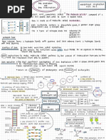 Mindmap Dna