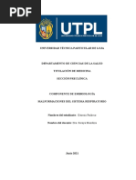 Malformaciones Del Sistema Respiratorio