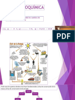TERMOQUIMICA