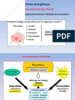 Metabolisme Energetique Et Regulationm1ba