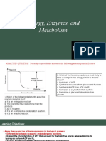 Chapter 8 Lecture-Energy, Enzymes, and Metabolism-MODIFIED2