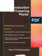 The Parts of Flower