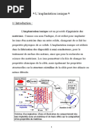 Implantation Ionyque