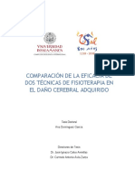 TecnicasdeFisioterapia en Daño Cerebral Adquirido