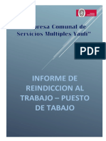 Informe Reinduccion Ecosermy