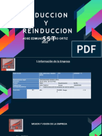 Diapositivas Induccion y Reinduccion SST 1