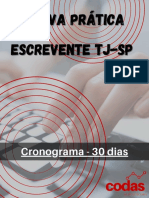 Cronograma 30 Dias - Prova Prática