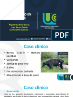 Anaplasmosis Bovina Seminario