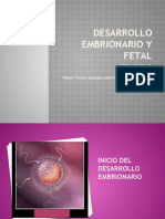 Desarrollo Embrionario y Fetal # 3