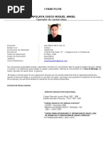 PDF Documento