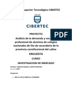 Proyecto de Investigacion Terminado Consulting Sac