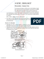 10 Icse - Biology: Photosynthesis - Summary Notes