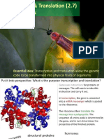 IB Diploma Biology: Essential Idea: Transcription and Translation Allow The Genetic