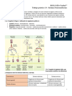 Trabajo Práctico 10 - Sistema Endocrino