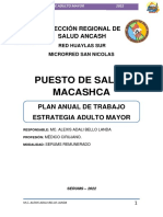 Plan Anual Adult Mayor Serums PS Macashca 2022