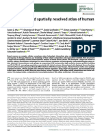 A Single-Cell and Spatially Resolved Atlas of Human