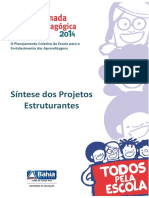 Sintese Projetos Estruturantes