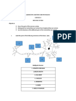 Laboratory Anatomy and Physiology Exercise 7 Nervous System