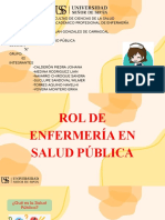 Rol de Enfermería en Salud Publica