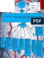 Mapa Conceptual Sobre La Neurona.