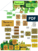 Mapa Hemostasia 2