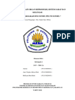 Teknik Radiografi Bno Sonde (Pelvis Sonde)