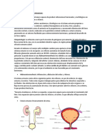 Infecciones Urinarias en Mujer Embarazada