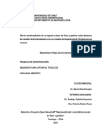 Efecto Remineralizante de Un Agente A Base de Fluor y Grafeno, Sobre