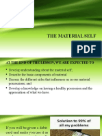 The Material Self