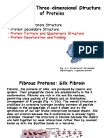 Chap. 4B The Three-Dimensional Structure of Proteins: Topics