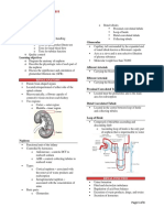 Kidney Function Test (Trans)