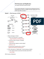 Kami Export - POGIL 1 DNA Structure